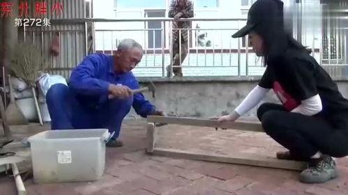 东北胖小视频在线观看,趣味横生的短视频盛宴，在线观看笑翻天  第1张